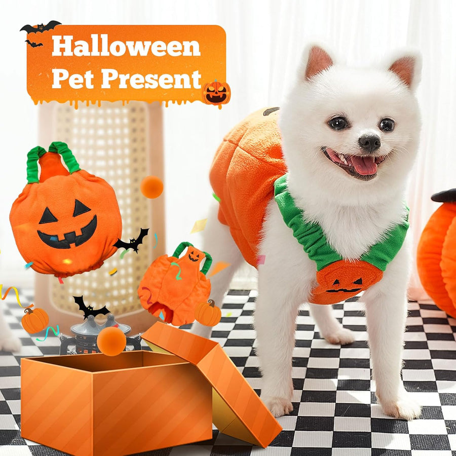 Pumpkin Halloween Pet Costume