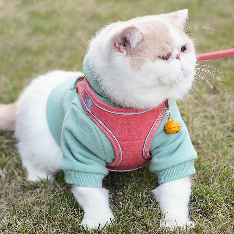 Cat Harness and Leash Set — Escape-Proof Velvet Vest