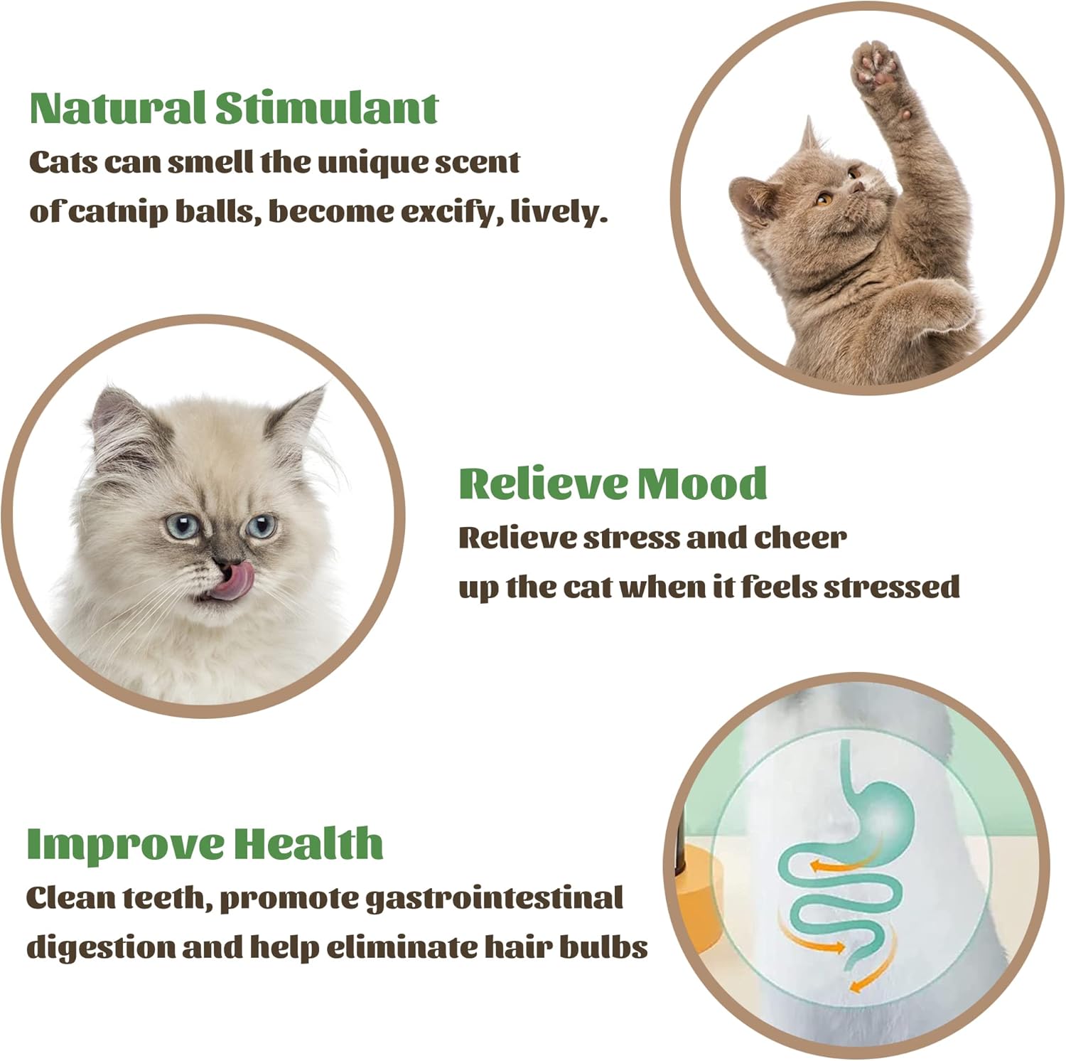 Catnip Wall Balls for Cats — Edible Licking & Teeth-Cleaning Toy