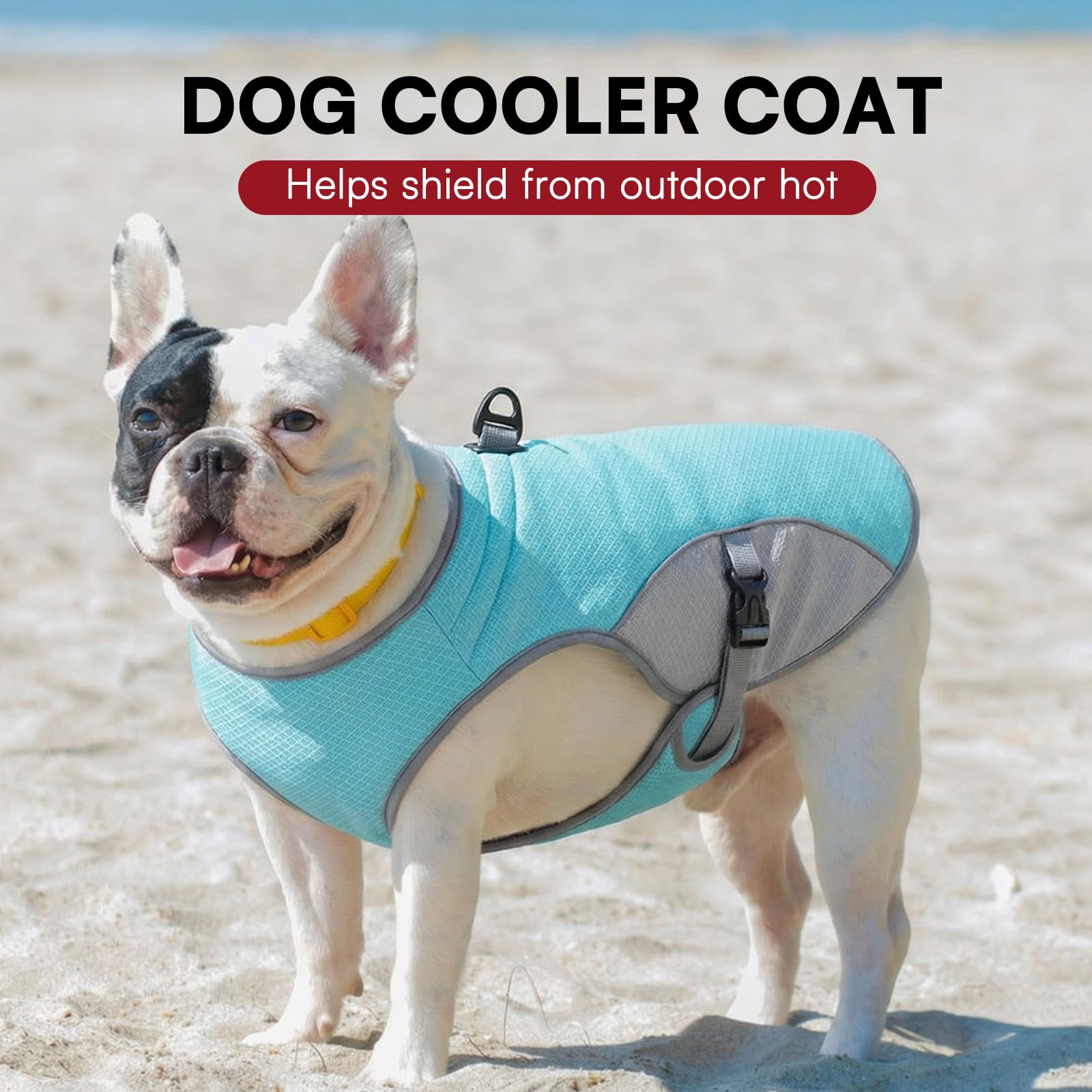 Dog Cooling Vest — Reflective Summer Jacket for Hot Walks