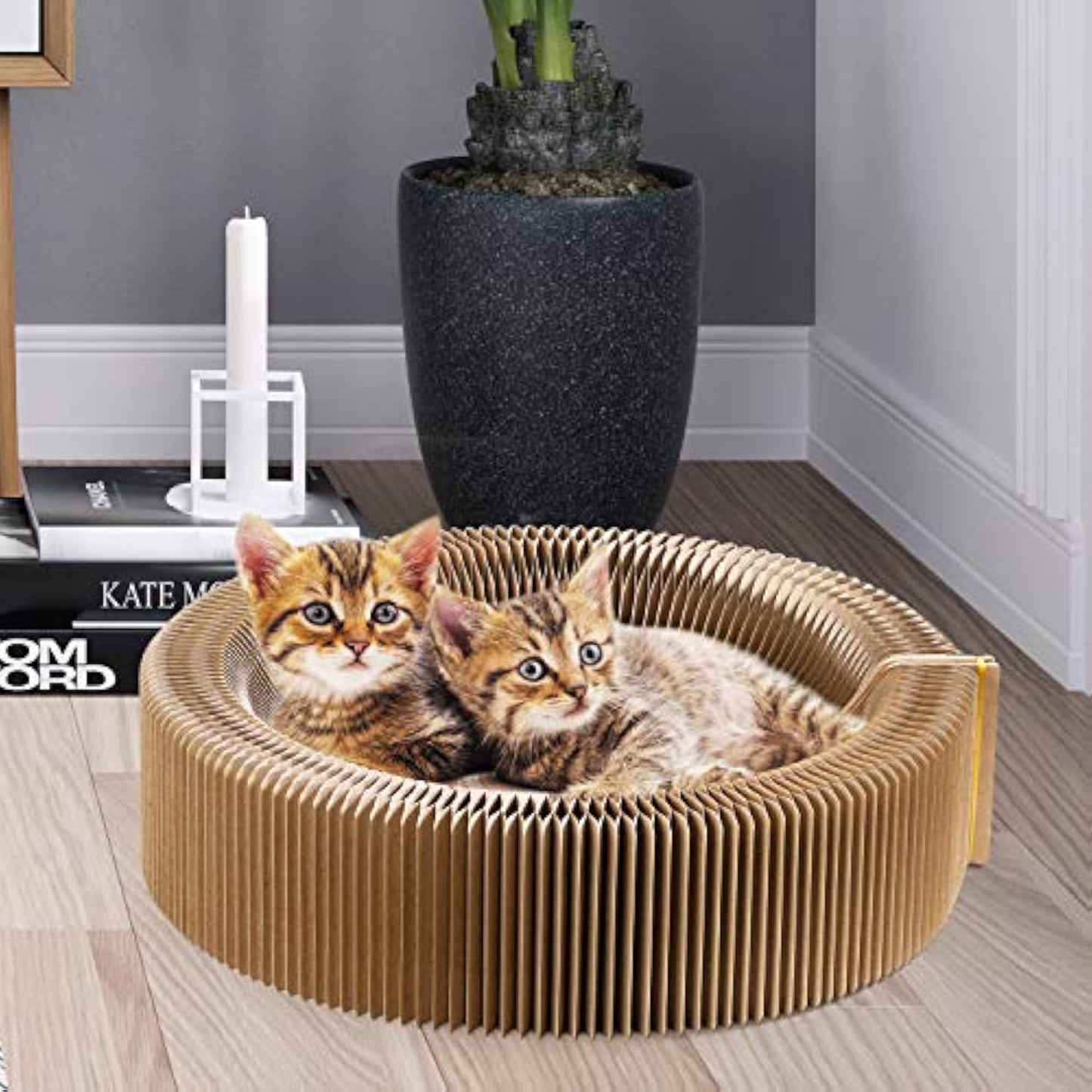 Collapsible Cardboard Cat Scratcher Lounge Bed for Indoor Cats