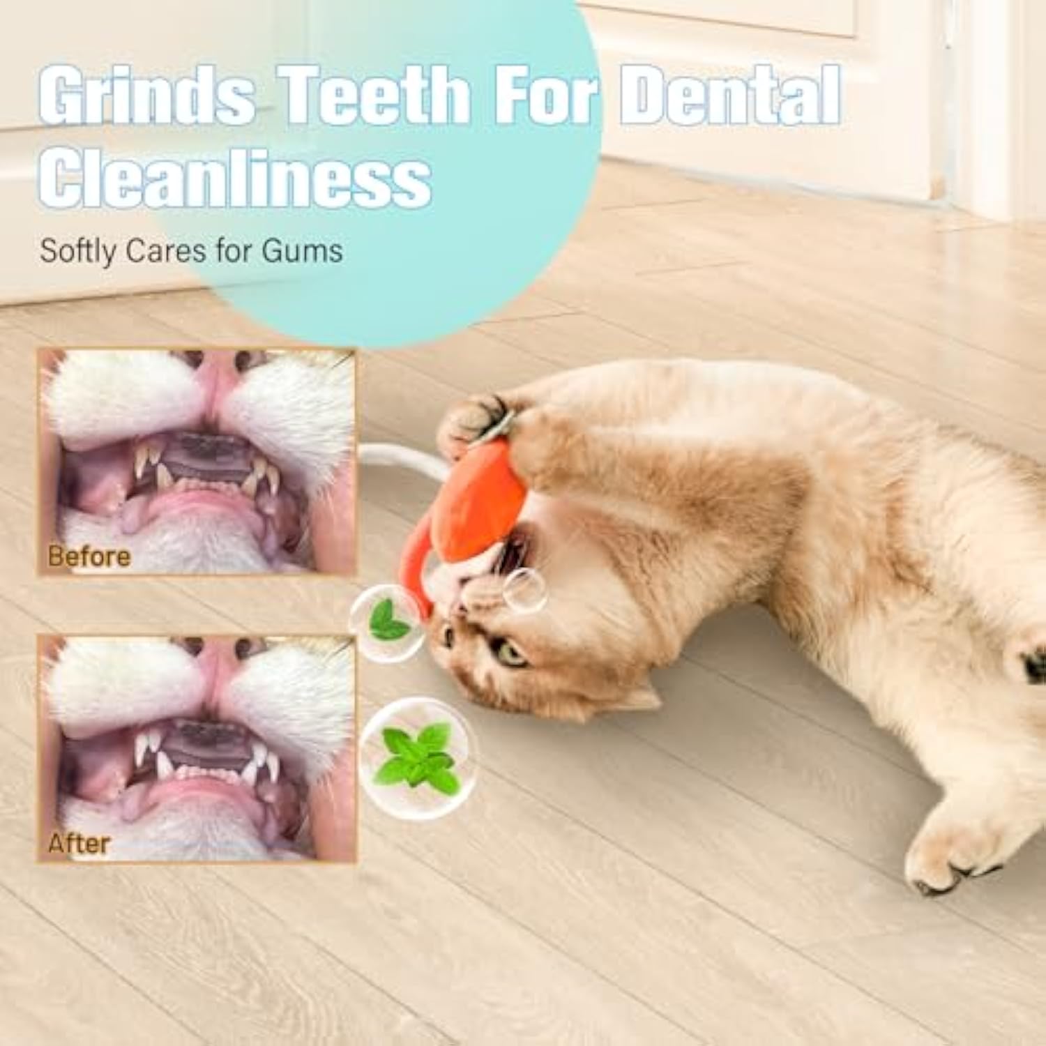 Silvervine Catnip Cat Toys — Wire-Free Dental Chew Set