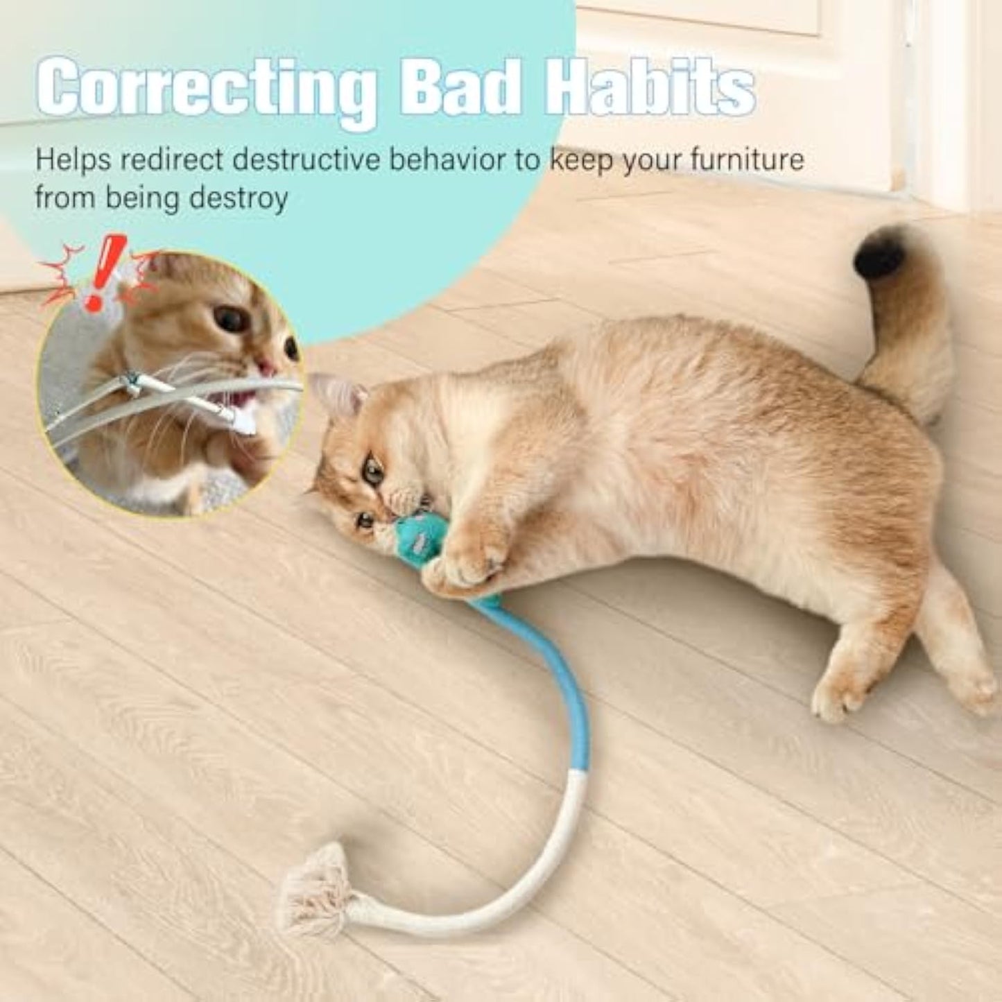 Silvervine Catnip Cat Toys — Wire-Free Dental Chew Set