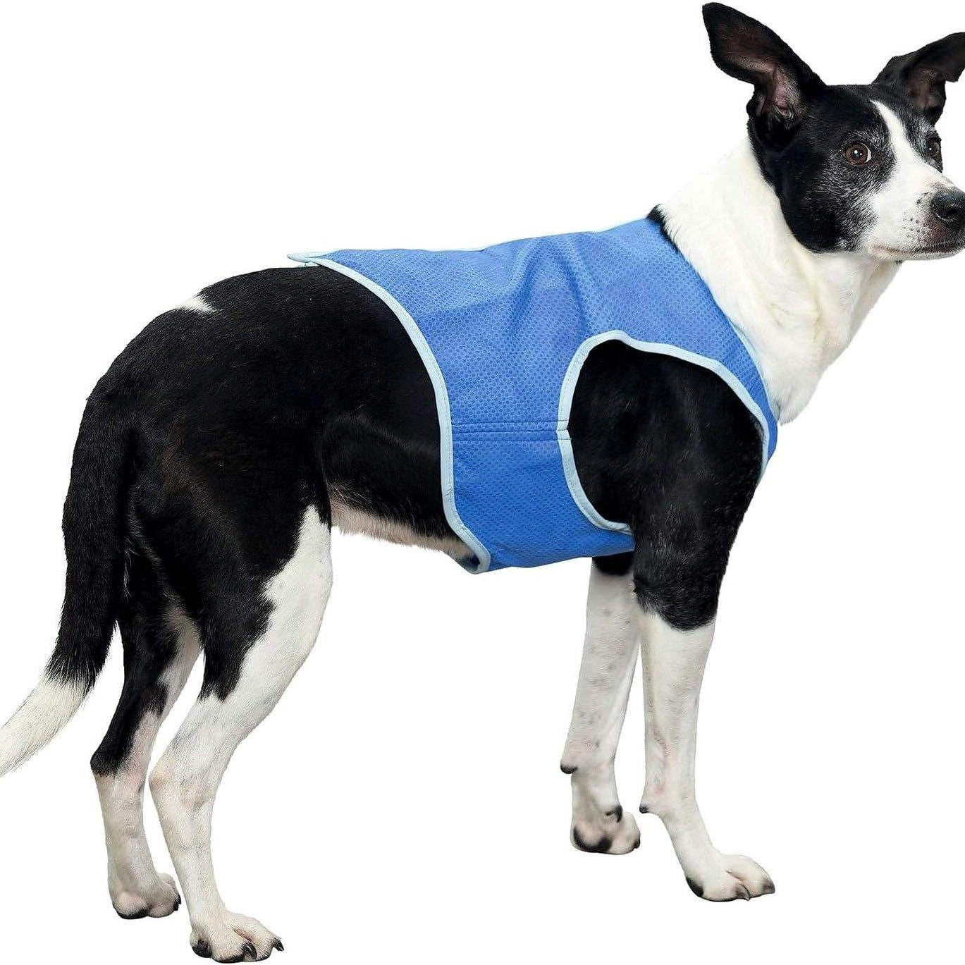 Cooling Dog Vest — Sweat-Absorbing Summer Shirt for Dogs