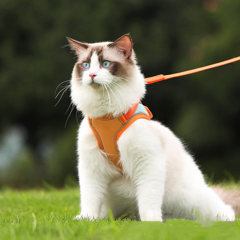 Escape-Proof Cat Harness & Leash Set with Reflective Safety