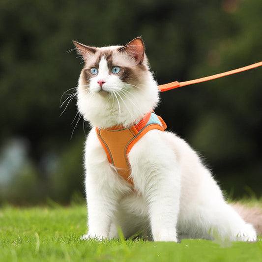 Escape-Proof Cat Harness & Leash Set with Reflective Safety