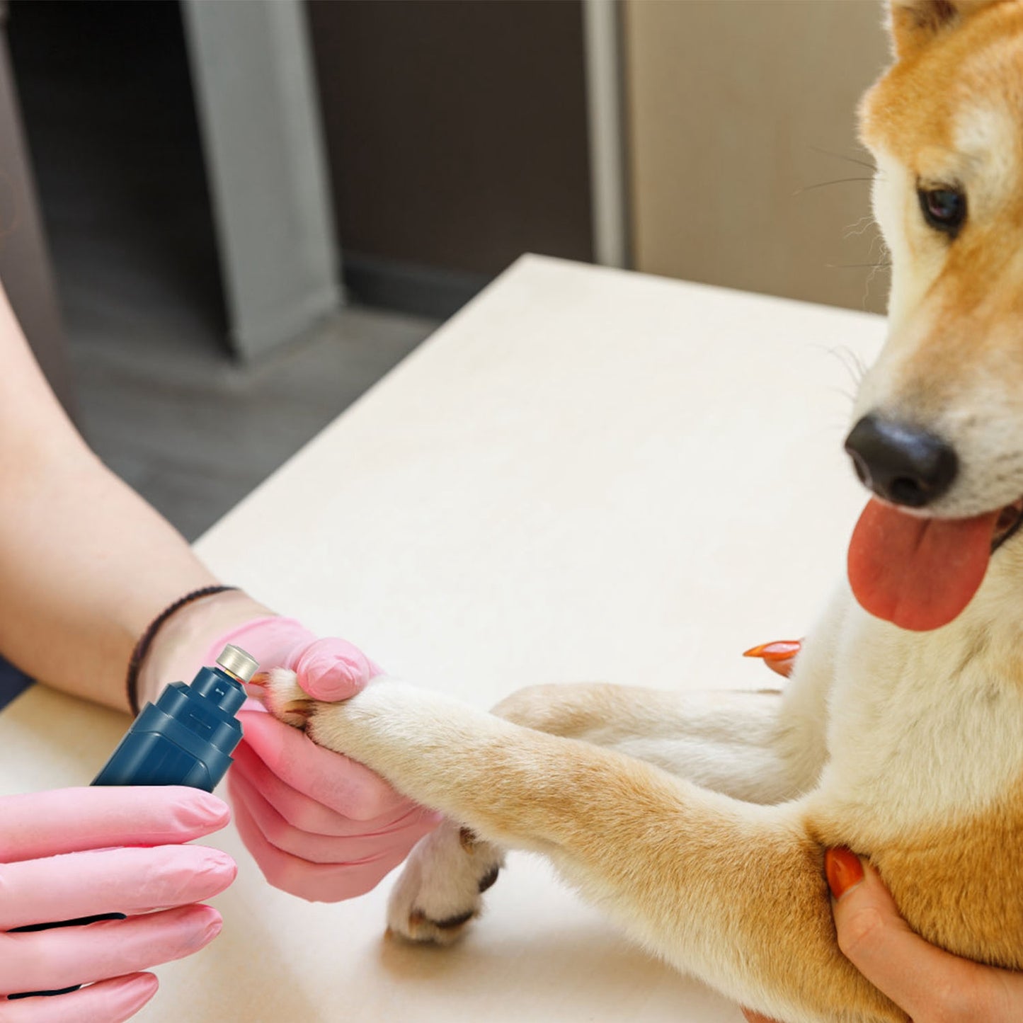 Quiet Dog Nail Grinder — Cordless USB Rechargeable Paw Care