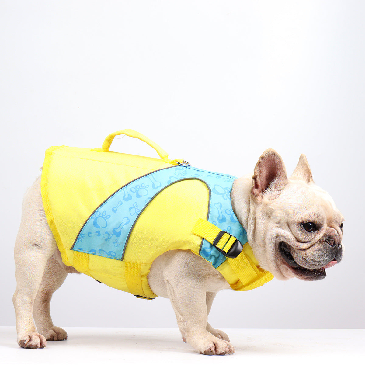 Dog Life Jacket — High-Visibility Swim Vest for Safe Water Play