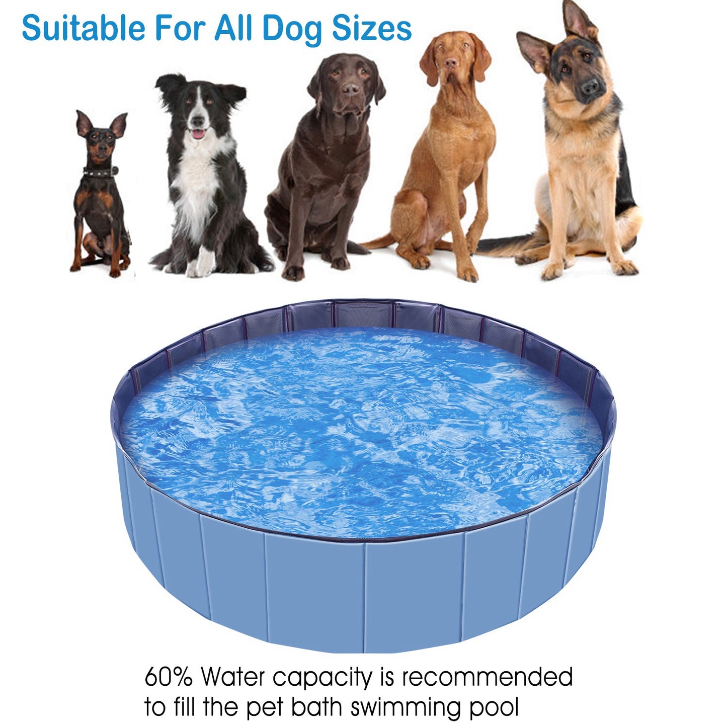 Foldable Dog Swimming Pool — Cooling Bath & Splash Tub for Pets