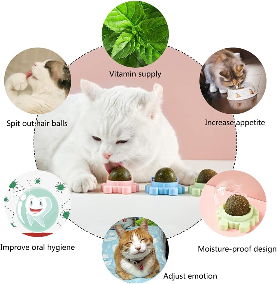 Catnip Wall Balls for Cats — Edible Licking & Teeth-Cleaning Toy