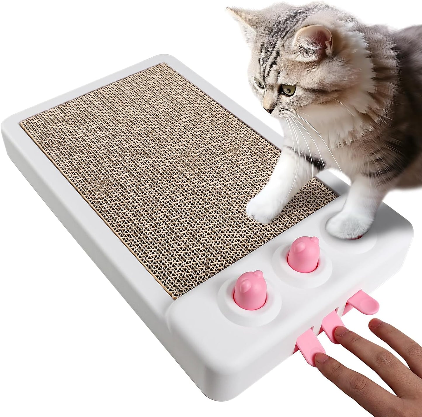 2-in-1 Cat Scratcher & Whack-A-Mole Interactive Toy