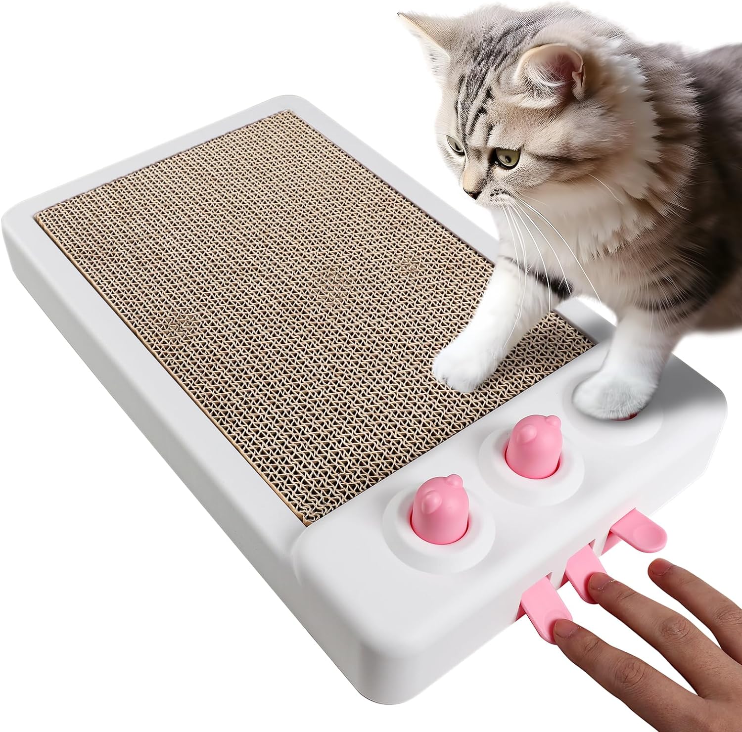 2-in-1 Cat Scratcher & Whack-A-Mole Interactive Toy
