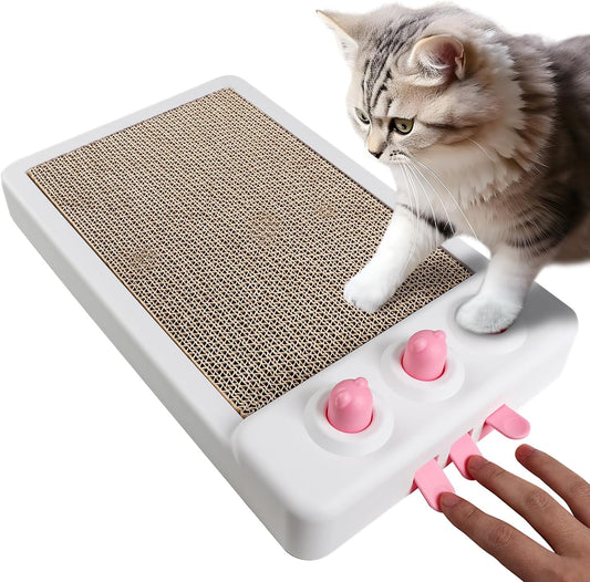 2-in-1 Cat Scratcher & Whack-A-Mole Interactive Toy