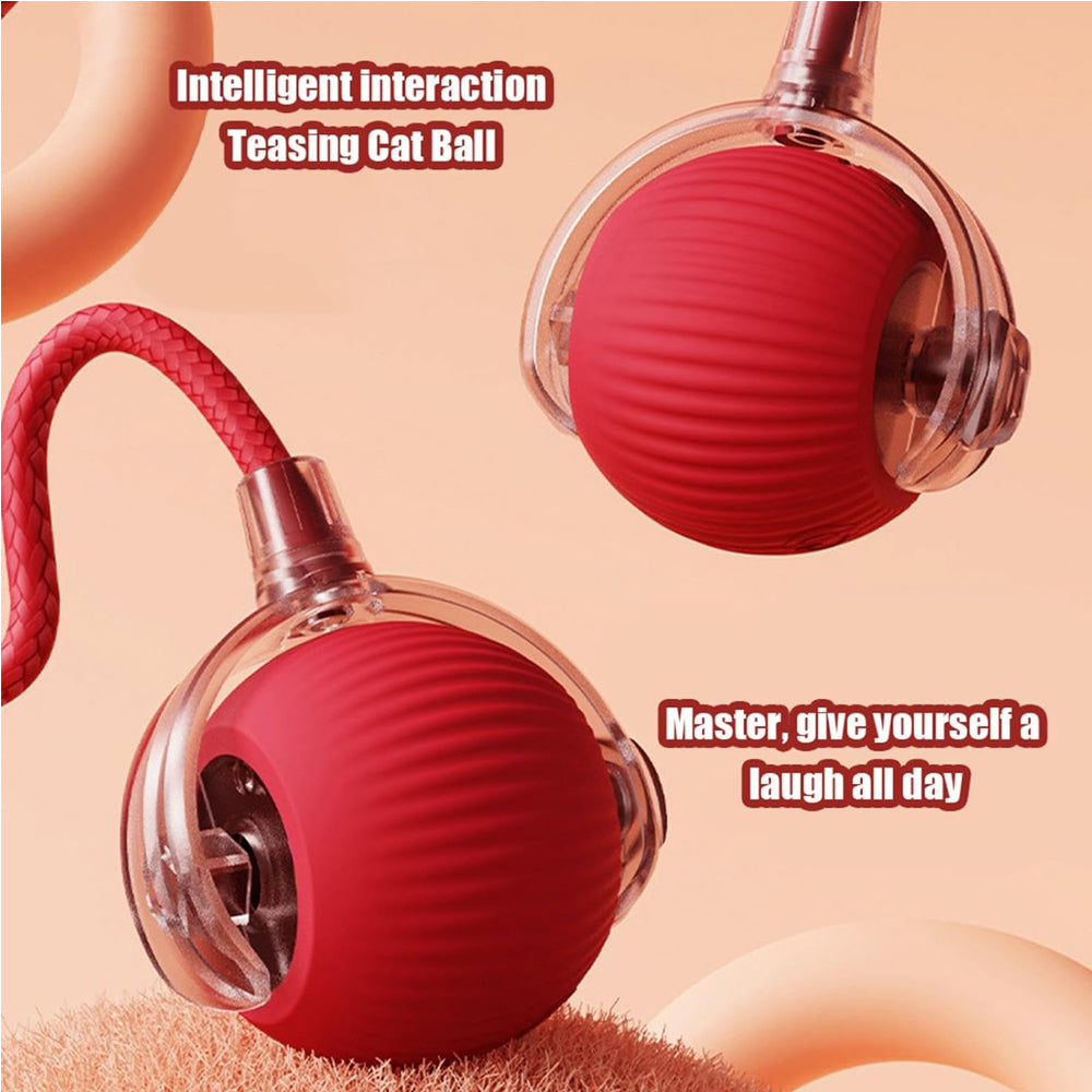 Electric Dog Cat Ball Toy,Indoor Large And Small Cat Dog Interactive Intelligent Rolling Pet Ball