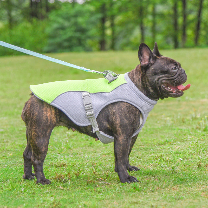 Dog Cooling Vest — Evaporative Summer Cooling Coat for Dogs