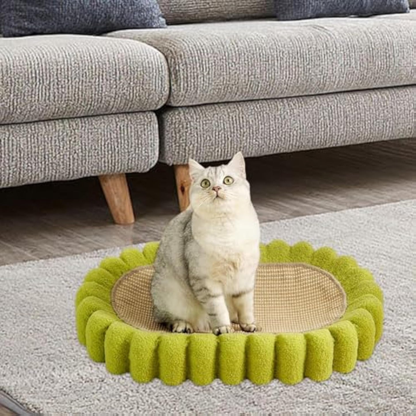 Oval Cat Scratcher Bowl Bed — 2-in-1 Lounge & Furniture Saver