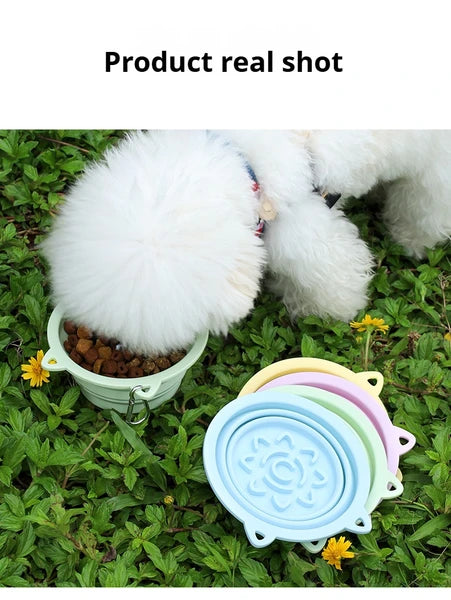 Collapsible Dog Travel Bowl with Suction Cups & Slow-Feeder