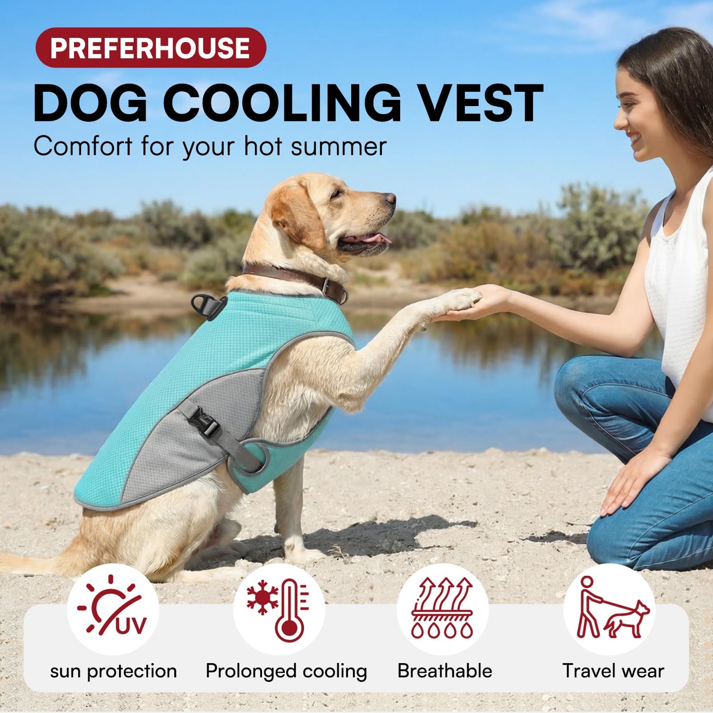 Dog Cooling Vest — Reflective Summer Jacket for Hot Walks