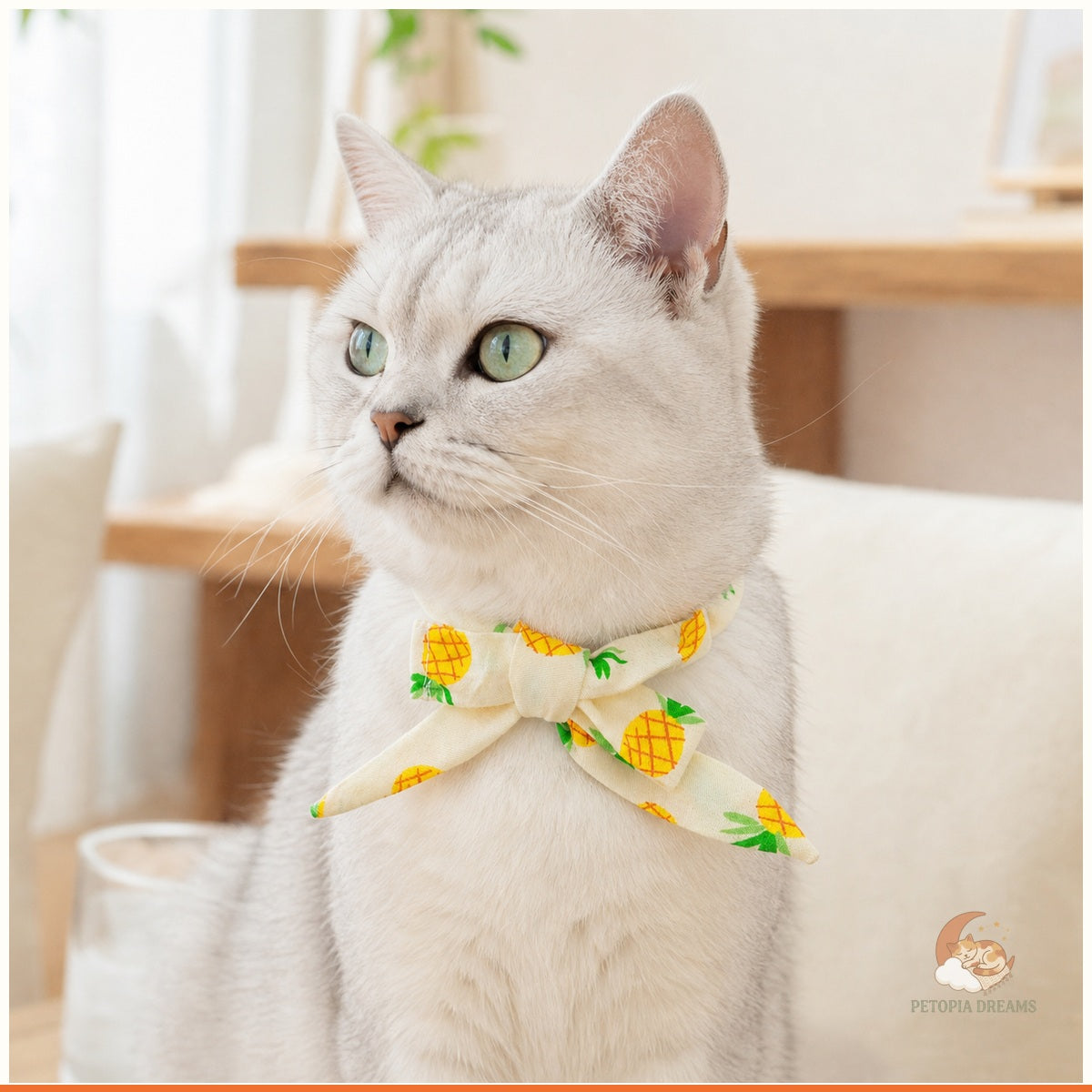 Grey cat wearing the Pineapple summer bow collar