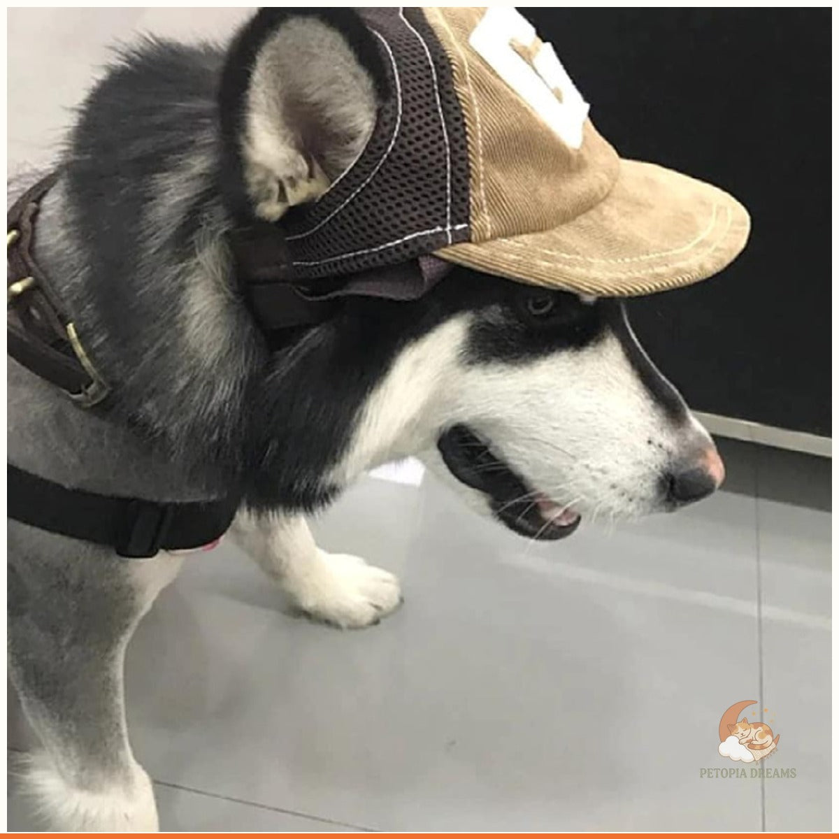 Corduroy Dog Hat — Breathable Sun Protection Cap for Pups | Petopia Dreams