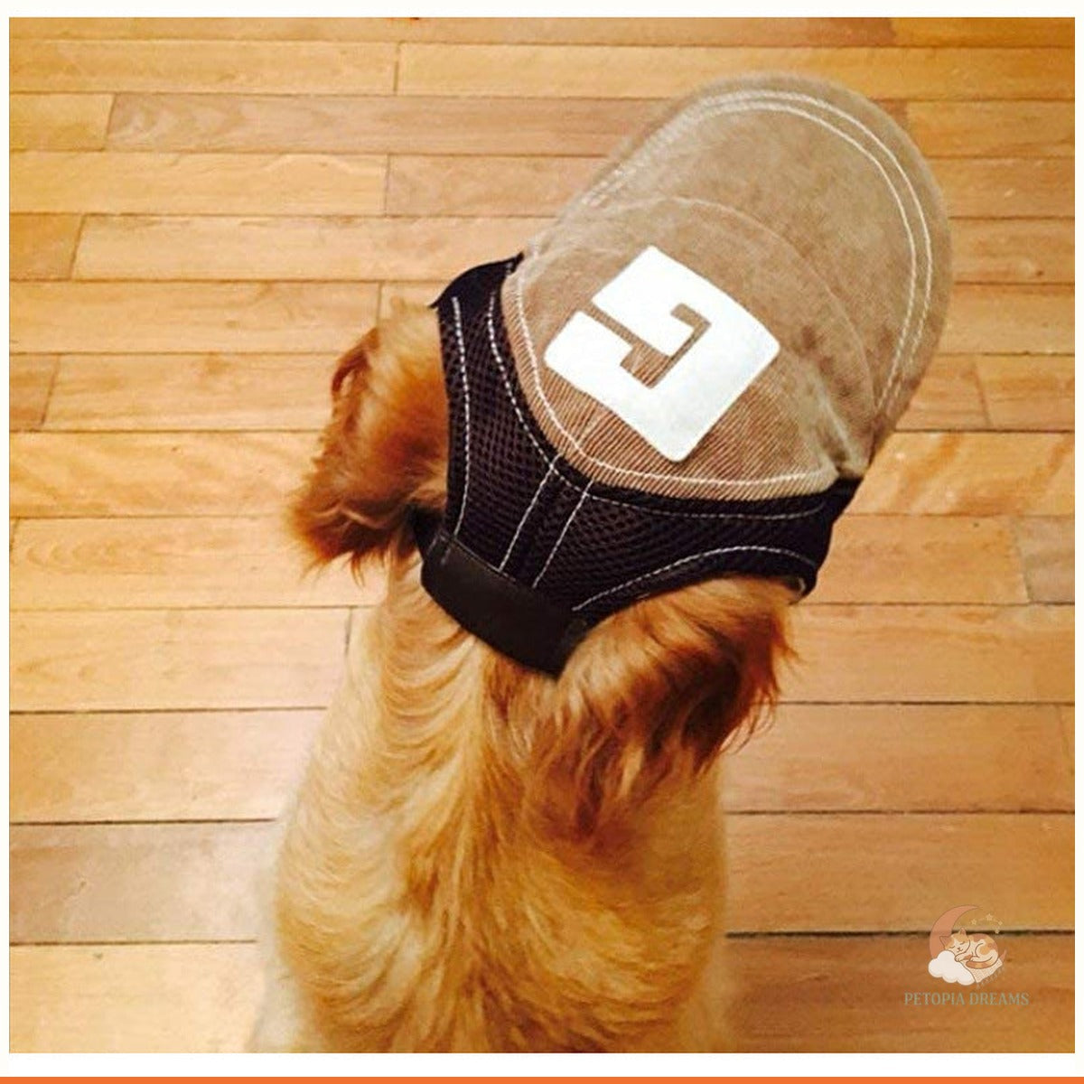 Corduroy Dog Hat — Breathable Sun Protection Cap for Pups | Petopia Dreams