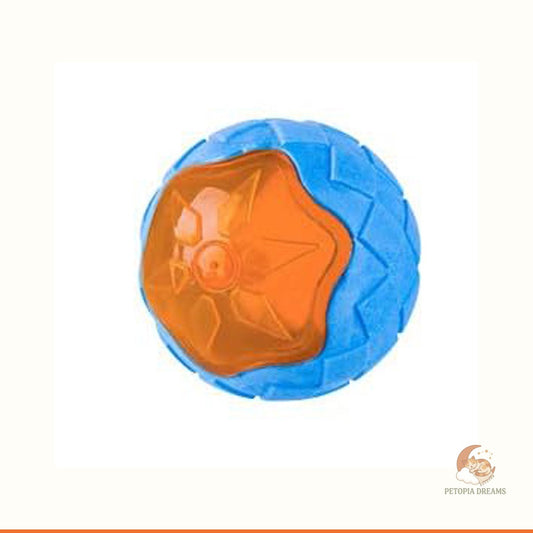 Floating Dog Pool Toys - Squeaky Fetch Set for Water Play | Petopia Dreams