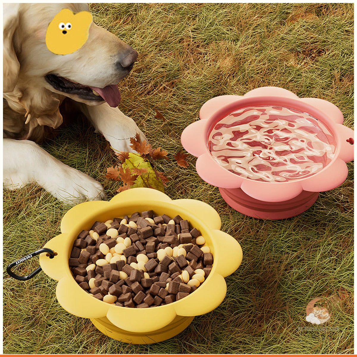 Collapsible Dog Bowl with Carabiner — Travel Water & Food Dish | Petopia Dreams