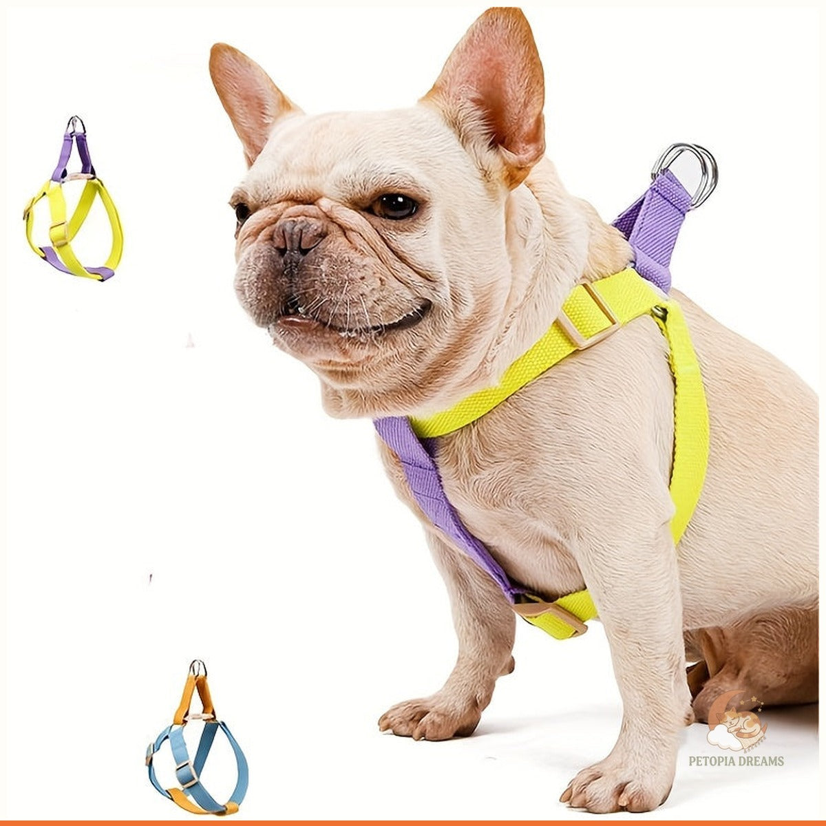 Rainbow Colorblock Dog Harness & Leash Set (No-Escape Vest) | Petopia Dreams