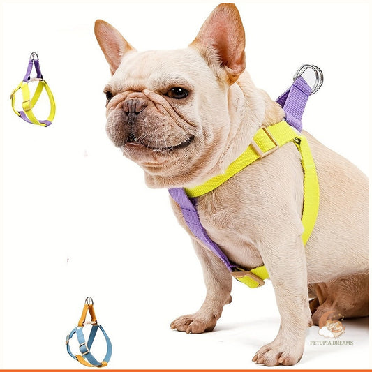 Rainbow Colorblock Dog Harness & Leash Set (No-Escape Vest) | Petopia Dreams