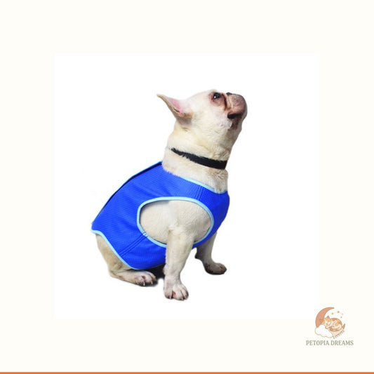 Dog Cooling Vest — Beat-the-Heat Summer Cooling Coat | Petopia Dreams