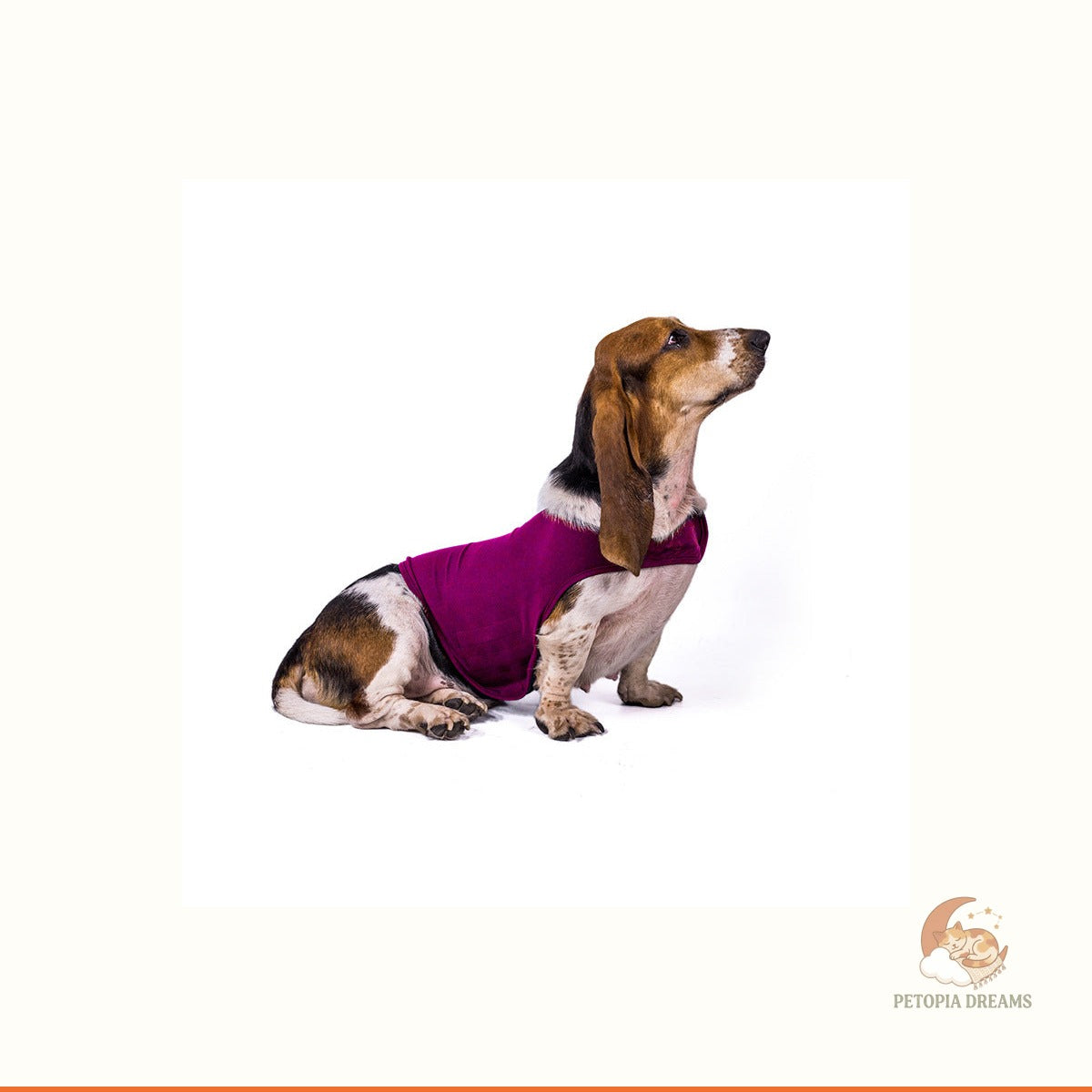 Calming Dog Anxiety Vest — Gentle Pressure Comfort Wrap | Petopia Dreams