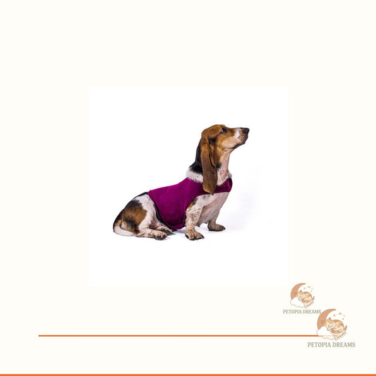 Calming Dog Anxiety Vest — Gentle Pressure Comfort Wrap | Petopia Dreams