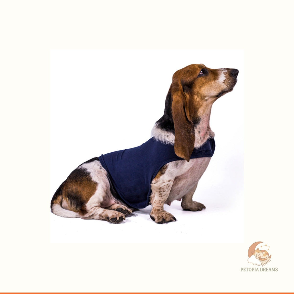 Calming Dog Anxiety Jacket - Cozy Cotton Comfort Vest | Petopia Dreams