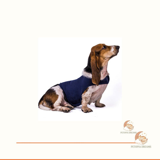 Calming Dog Anxiety Jacket - Cozy Cotton Comfort Vest | Petopia Dreams