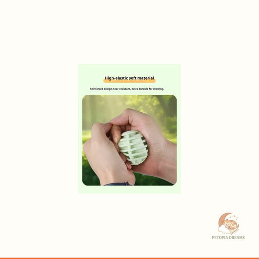Interactive Squeaky Sound Ball for Dogs & Cats | Petopia Dreams