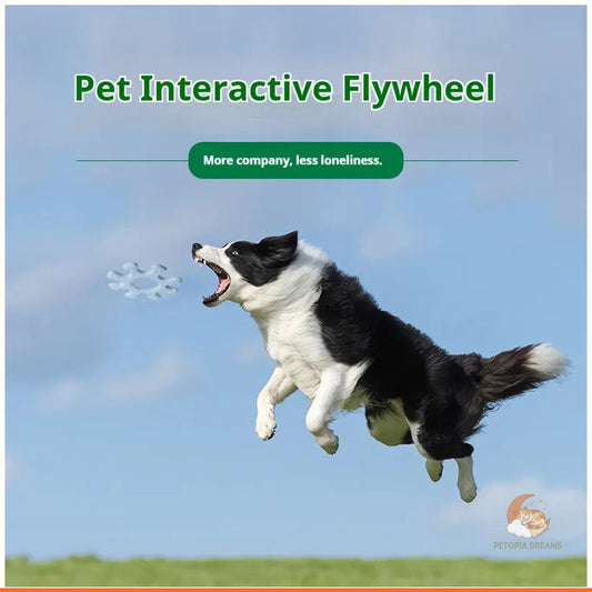 Interactive Dog Flywheel Toy for Bonding Playtime | Petopia Dreams