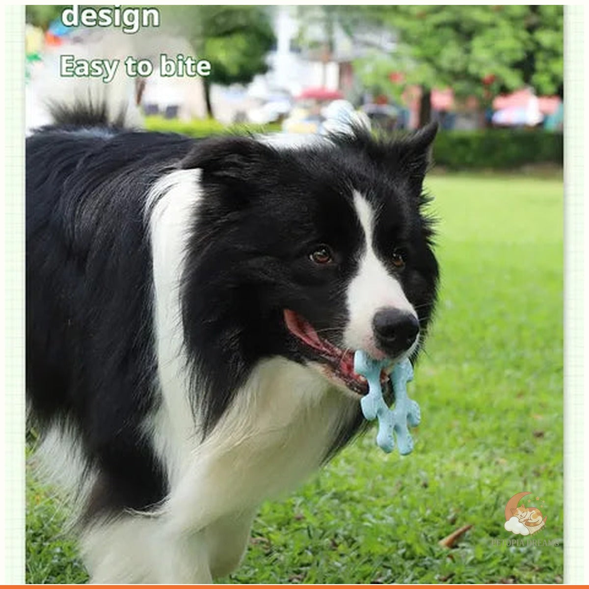Interactive Dog Flywheel Toy for Bonding Playtime | Petopia Dreams