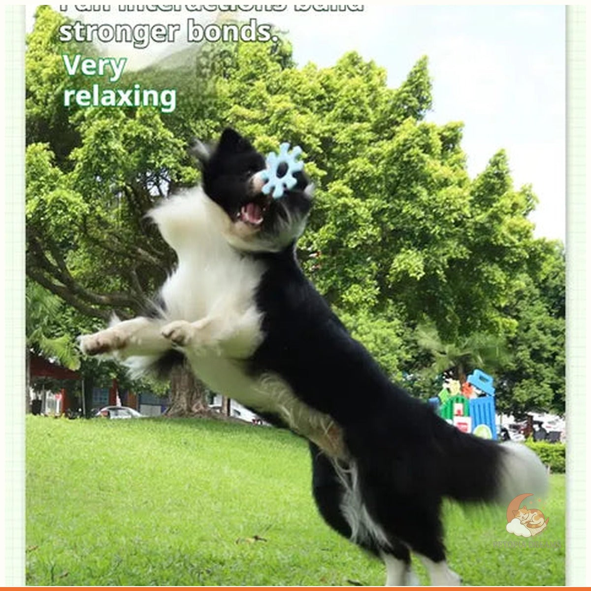 Interactive Dog Flywheel Toy for Bonding Playtime | Petopia Dreams