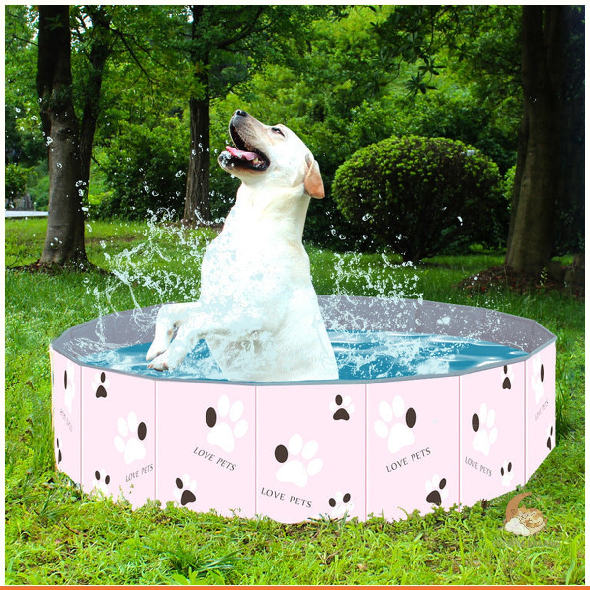 Foldable Dog Swimming Pool & Bathing Tub for Indoor & Outdoor | Petopia Dreams