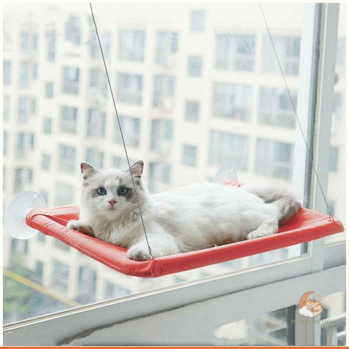 Cat Window Hammock with Suction Cups — Sunny Perch Bed | Petopia Dreams
