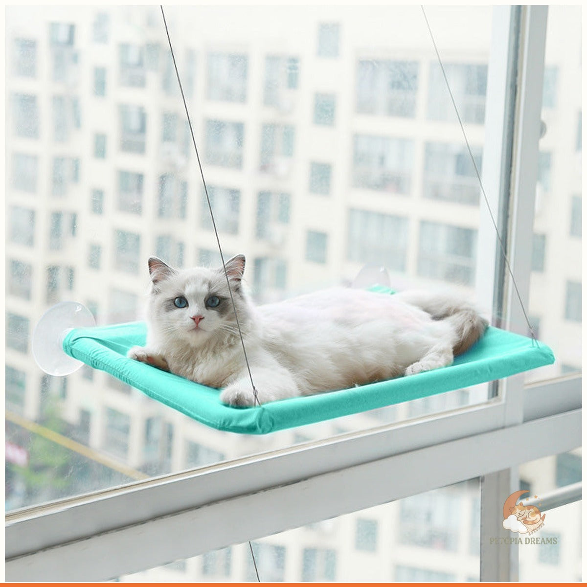 Cat Window Hammock with Suction Cups — Sunny Perch Bed | Petopia Dreams
