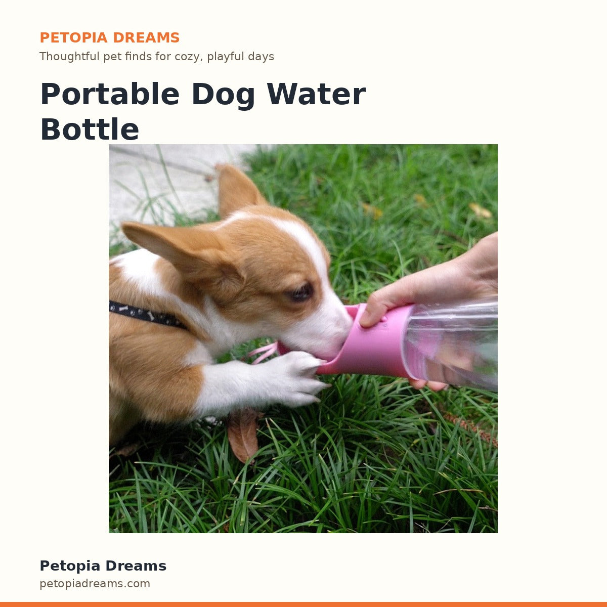 Portable Dog Water Bottle | Petopia Dreams
