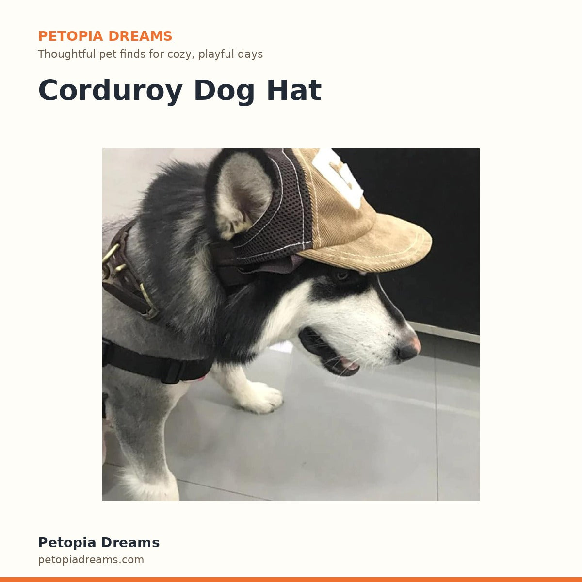 Corduroy Dog Hat | Petopia Dreams