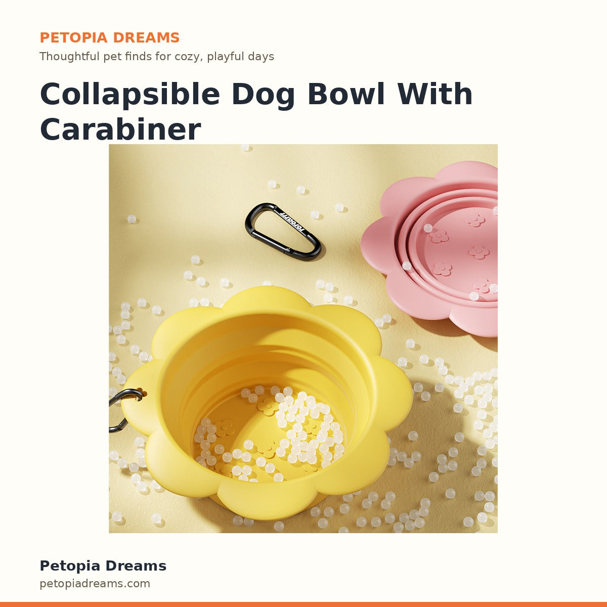 Collapsible Dog Bowl With Carabiner | Petopia Dreams