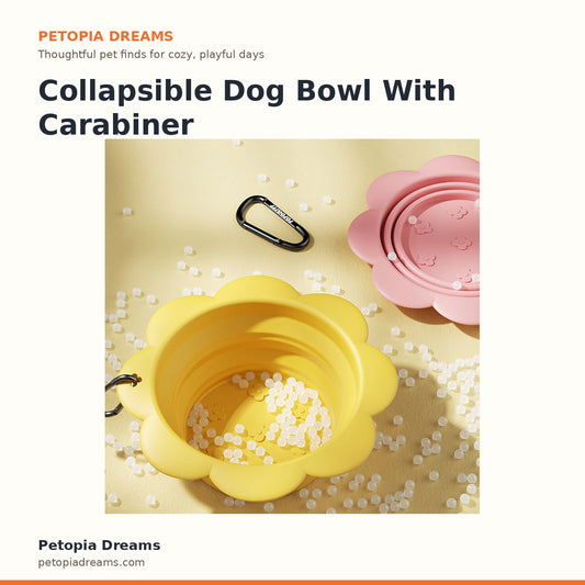 Collapsible Dog Bowl With Carabiner | Petopia Dreams