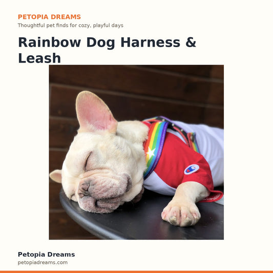 Rainbow Dog Harness & Leash Set | Petopia Dreams