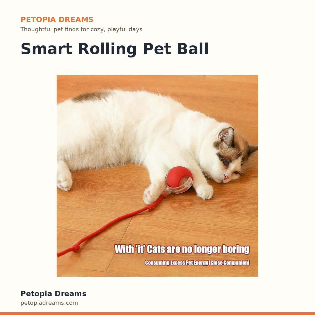 Smart Rolling Pet Ball | Petopia Dreams
