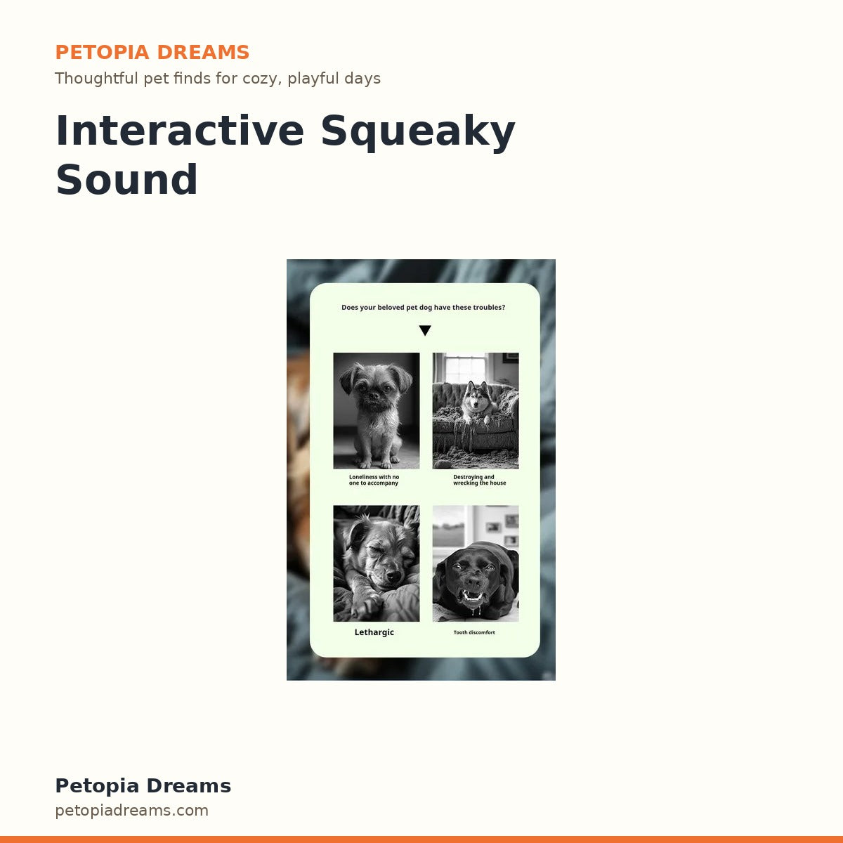 Interactive Squeaky Sound Ball | Petopia Dreams