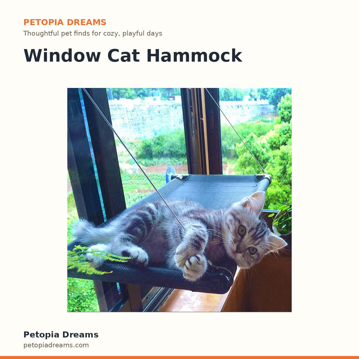 Window Cat Hammock | Petopia Dreams