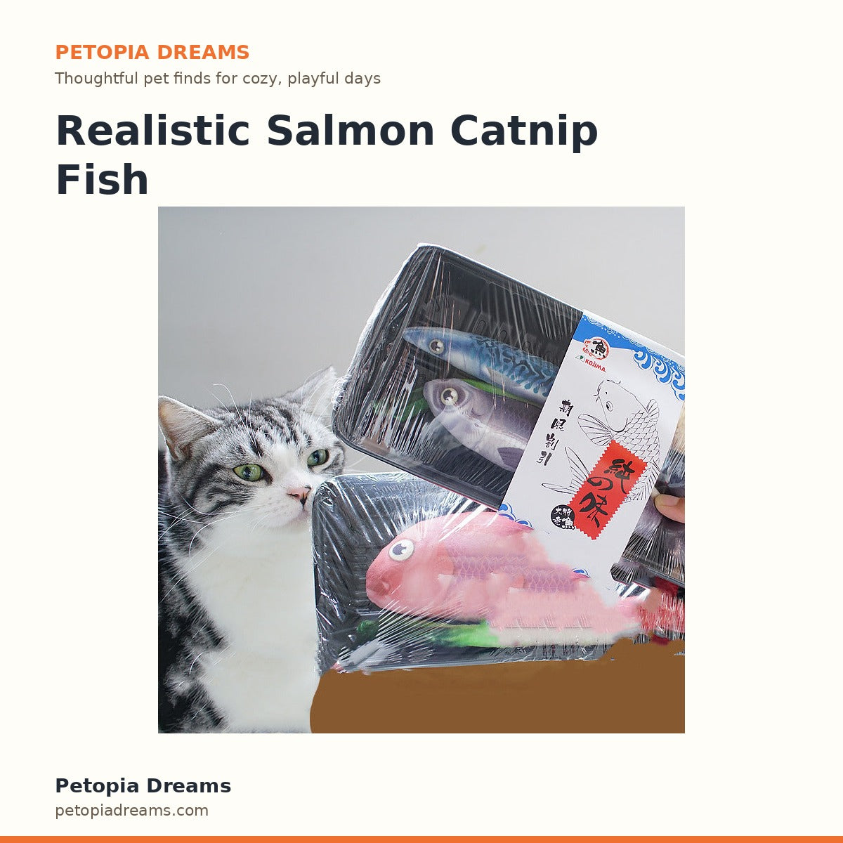 Realistic Salmon Catnip Fish Toy (4 Piece Set) | Petopia Dreams